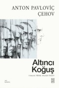 Cover-Bild zum Titel 'Altinci Kogus' von 'Anton Pavlovic cehov'