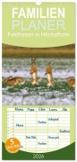 Cover-Bild zum Titel 'Familienplaner 2026 - Feldhasen in Höchstform mit 5 Spalten (Wandkalender, 21 x 45 cm) CALVENDO' von 'Günter Bachmeier'
