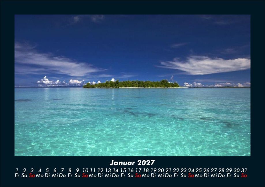 InsideView 5