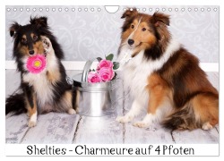 Cover-Bild zum Titel 'Shelties : Charmeure auf 4 Pfoten (Wandkalender 2026 DIN A4 quer), CALVENDO Monatskalender' von 'Marion Reiß - Seibert'