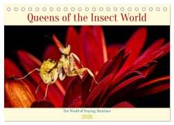 Cover-Bild zum Titel 'Queens of the Insect World (Desk Calendar 2026 DIN A5 landscape), CALVENDO 12 Month DeskCalendar' von 'Roland Brack'