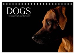 Dogs (Tischkalender 2026 DIN A5 quer), CALVENDO Monatskalender - Nicole Noack