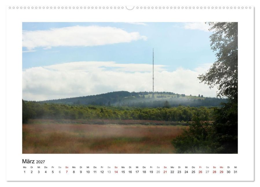 InsideView 8