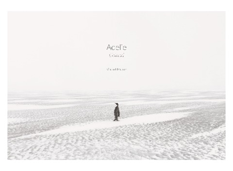 Adelie: Eismeer - Eisland - Vincent Munier, Luc Jacquet, Laurent Ballesta