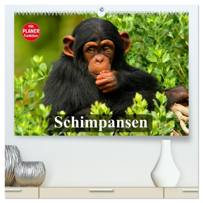 Schimpansen (hochwertiger Premium Wandkalender 2026 DIN A2 quer), Kunstdruck in Hochglanz - Elisabeth Stanzer