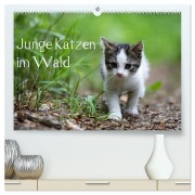 Junge Katzen im Wald (hochwertiger Premium Wandkalender 2026 DIN A2 quer), Kunstdruck in Hochglanz - Dorothea Oldani