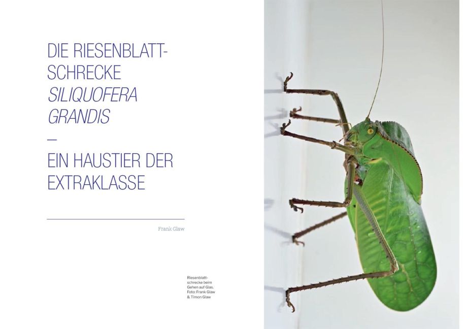 InsideView 3