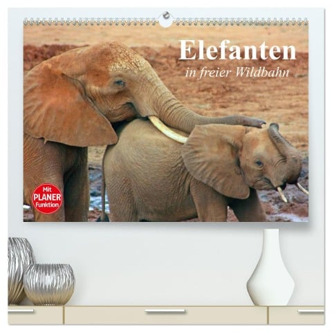 Elefanten in freier Wildbahn (hochwertiger Premium Wandkalender 2025 DIN A2 quer), Kunstdruck in Hochglanz - Elisabeth Stanzer