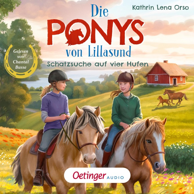 Die Ponys von Lillasund 2. Schatzsuche auf vier Hufen - Kathrin Lena Orso