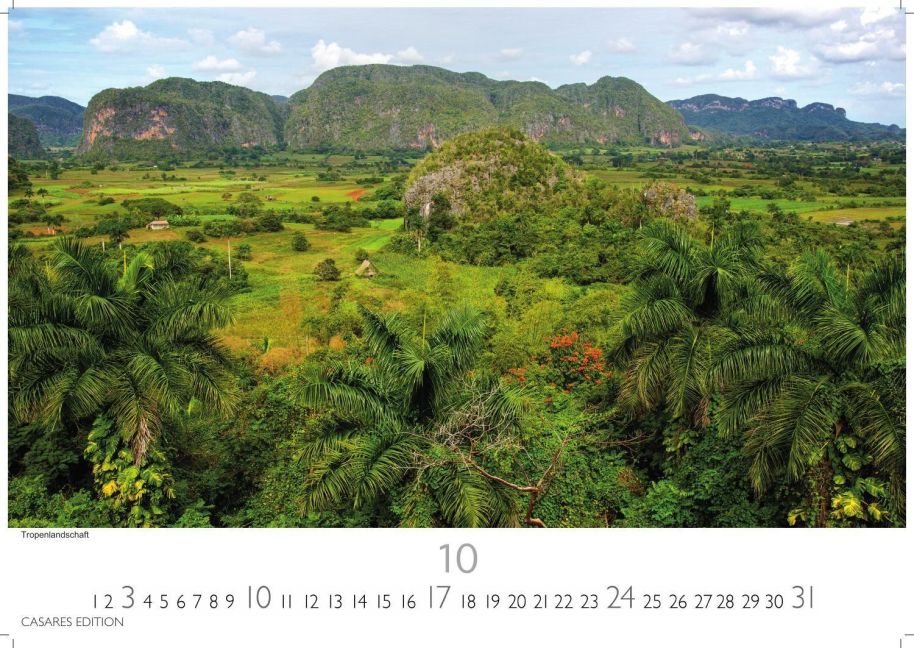 InsideView 10