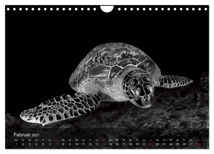 InsideView 7