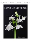 Poesie weißer Blüten (Tischkalender 2026 DIN A5 hoch), CALVENDO Monatskalender - Gisela Kruse