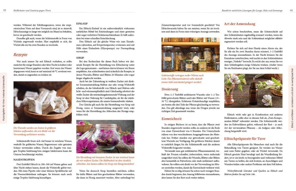 InsideView 12