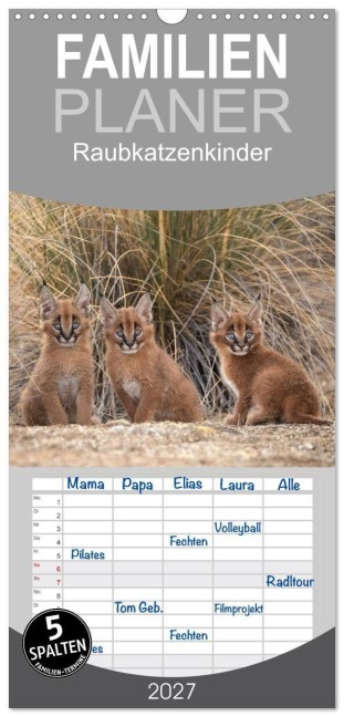 Familienplaner 2027 - Raubkatzenkinder mit 5 Spalten (Wandkalender, 21 x 45 cm) CALVENDO - Marion Vollborn