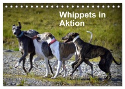 Whippets in Aktion (Tischkalender 2025 DIN A5 quer), CALVENDO Monatskalender - Ula Redl