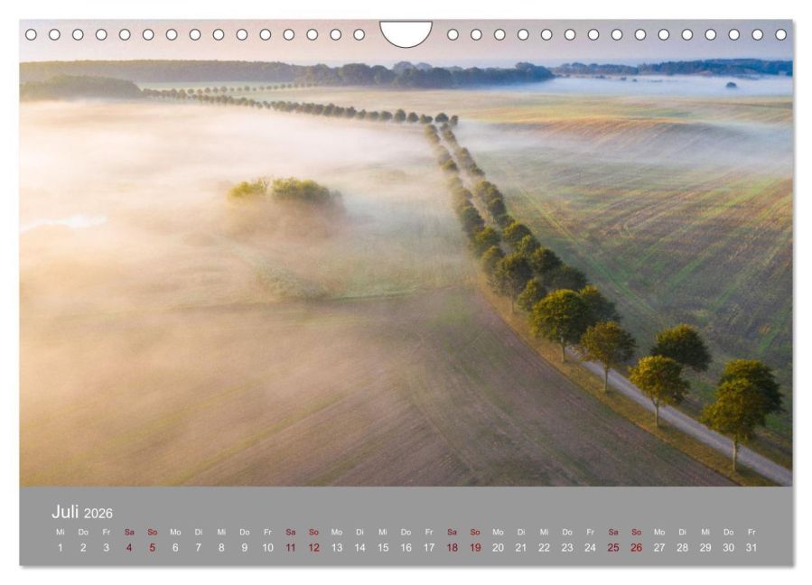 InsideView 12