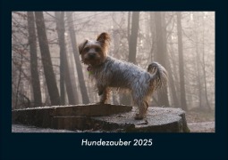Cover-Bild zum Titel 'Hundezauber 2025 Fotokalender DIN A4' von 'Tobias Becker'