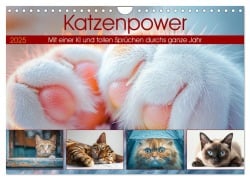 Katzenpower (Wandkalender 2025 DIN A4 quer), CALVENDO Monatskalender - Steffen Gierok-Latniak