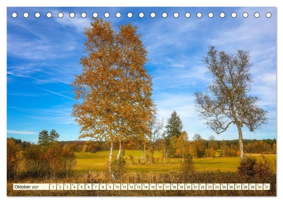 InsideView 2
