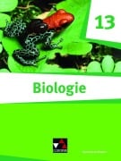 Cover-Bild zum Titel 'Biologie Bayern 13' von 'Sebastian Blaschke, Michael Bug, Melanie Fischer-Geiger, Sabine Gern, Alina Hermann'