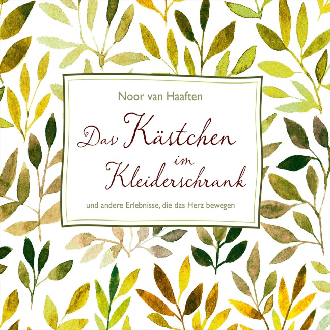 Das Kästchen im Kleiderschrank - Noor van Haaften