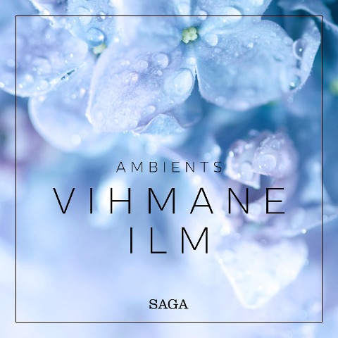 Ambients - Vihmane ilm - Rasmus Broe