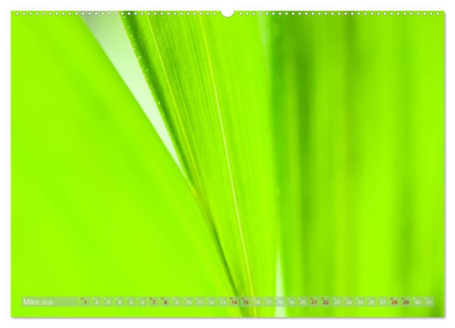 InsideView 7