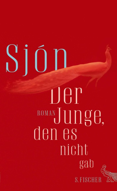 Der Junge, den es nicht gab - Sjón