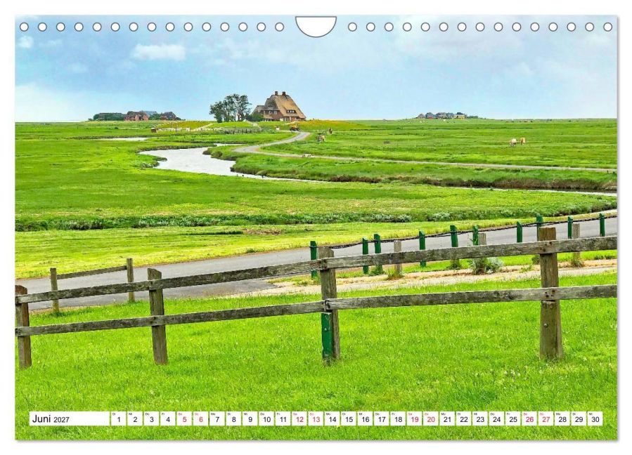 InsideView 11