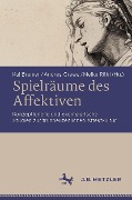 Cover-Bild zum Titel 'Spielräume des Affektiven' von ''