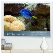 Cover-Bild zum Titel 'Riffbewohner - Bunte Fische, Anemonen und noch viel mehr (hochwertiger Premium Wandkalender 2026 DIN A2 quer), Kunstdruck in Hochglanz' von 'Bianca Schumann'