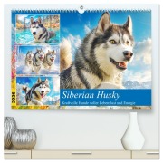 Siberian Husky. Kraftvolle Hunde voller Lebenslust und Energie (hochwertiger Premium Wandkalender 2026 DIN A2 quer), Kunstdruck in Hochglanz - Rose Hurley