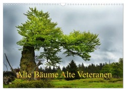 Alte Bäume Alte Veteranen (Wandkalender 2025 DIN A3 quer), CALVENDO Monatskalender - Alte Bäume Alte Veteranen