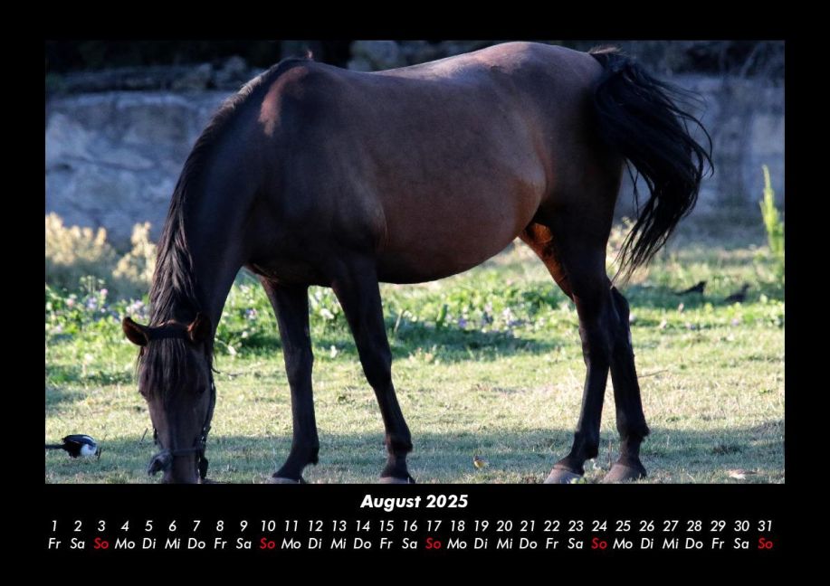 InsideView 12