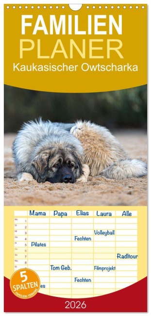 Familienplaner 2026 - Kaukasischer Owtscharka mit 5 Spalten (Wandkalender, 21 x 45 cm) CALVENDO - Annett Mirsberger
