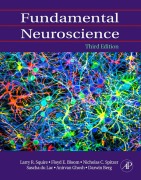 Cover-Bild zum Titel 'Fundamental Neuroscience' von ''