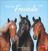 Pferde Postkartenkalender 2026 - Starke Freunde - 