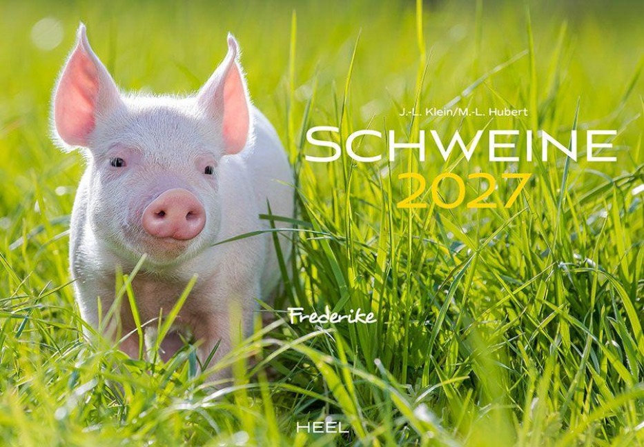 Schweine Kalender 2027 - J. -L. Klein, M. -L. Hubert