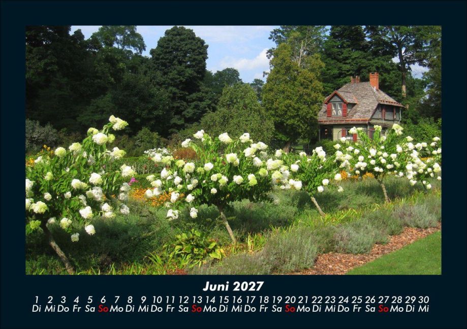 InsideView 10