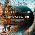 Cover-Bild zum Titel 'The Electric Kingdom' von 'David Arnold'