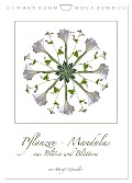 Pflanzen - Mandalas aus Blüten und Blättern (Wandkalender 2025 DIN A4 hoch), CALVENDO Monatskalender - Margit Quendler