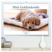 Cover-Bild zum Titel 'Mini Goldendoodle - Glück ist ein Hund (hochwertiger Premium Wandkalender 2026 DIN A2 quer), Kunstdruck in Hochglanz' von 'Stephan Schulz'