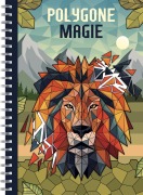 Cover-Bild zum Titel 'Polygone Magie' von 'Christoph Alexander'