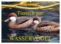 Tierisch gut: Wasservögel (Wandkalender 2026 DIN A2 quer), CALVENDO Monatskalender - Gisela Kruse