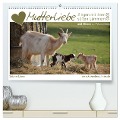 Mutterliebe - Ziegen mit ihren süßen Lämmern (hochwertiger Premium Wandkalender 2025 DIN A2 quer), Kunstdruck in Hochglanz - Sabine Löwer