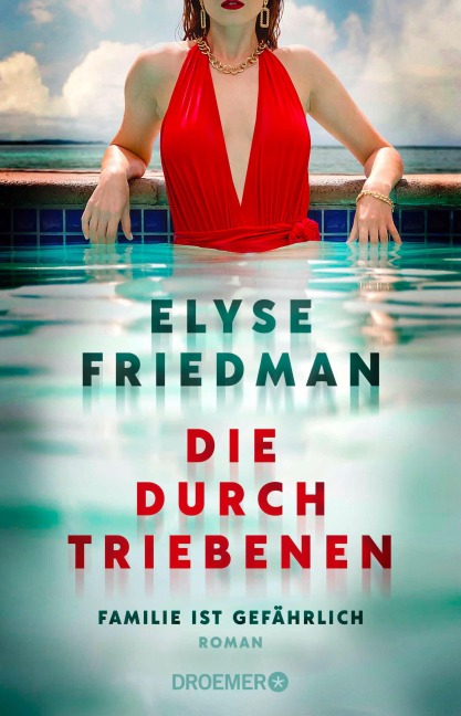 Die Durchtriebenen - Elyse Friedman