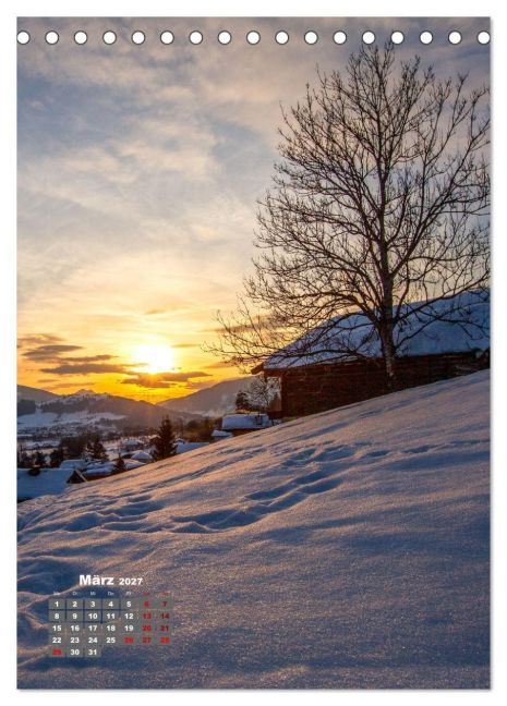 InsideView 8