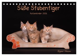 Cover-Bild zum Titel 'Süße Stubentiger - Katzenkinder (Tischkalender 2026 DIN A5 quer), CALVENDO Monatskalender' von 'Regine Heuser'