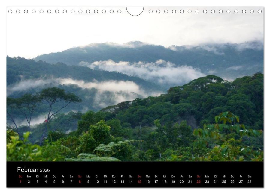 InsideView 7