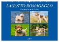 Lagotto Romagnolo - Ein Hund zum Verlieben (Wandkalender 2024 DIN A2 quer), CALVENDO Monatskalender - 